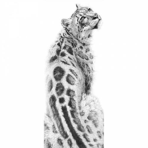 Bshop Pictură cu diamant cu model leopard 20 x 50 cm
